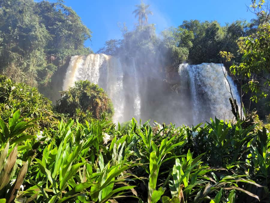 Iguazu Falls: Guided Tour in Argentinean Side - The Lower Trail brings you into the spray
