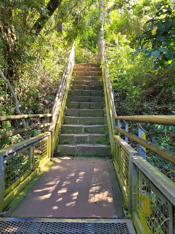 Iguazu Falls: Guided Tour in Argentinean Side - Choosing the Jungle Gran Aventura boat ride