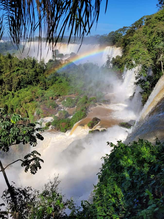 Iguazu Falls: Guided Tour in Argentinean Side - What to wear and what not to bring