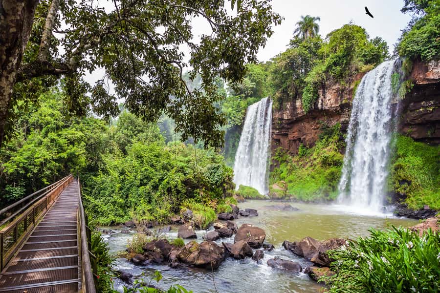 Iguazú Falls: The Natural Wonder of Argentina - The Ecological Jungle Train and Devil’s Throat