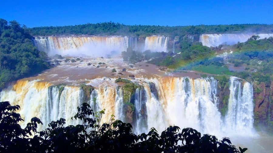 Iguazú Falls: The Natural Wonder of Argentina - Who should book this Iguazú Falls tour?