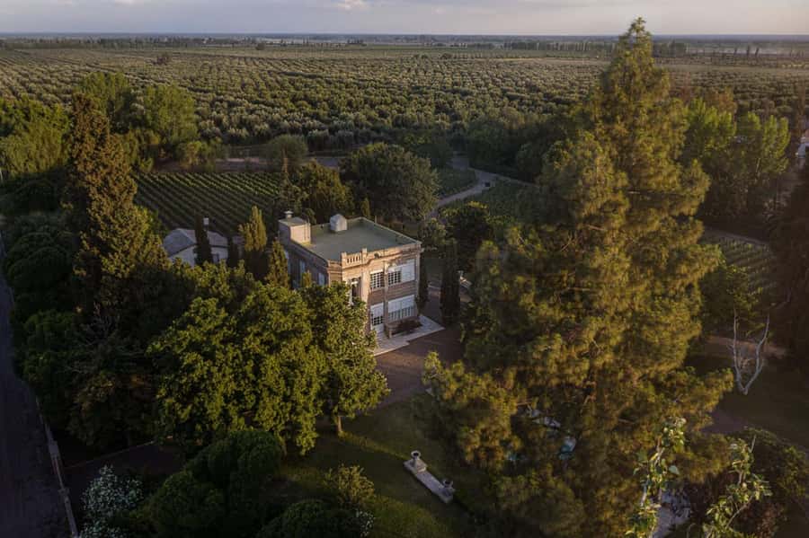 Luigi Bosca Winery Tour with Wine Tasting and Lunch - Walking through the Arizu family estate