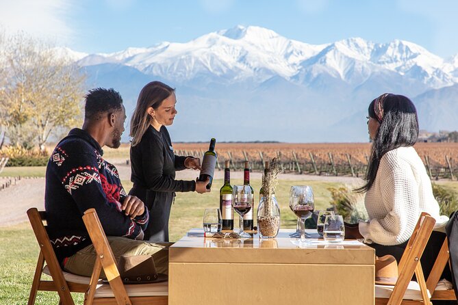 Lujan Deluxe - Full day - Premium Wine Tour with Gourmet Lunch - Key points at a glance