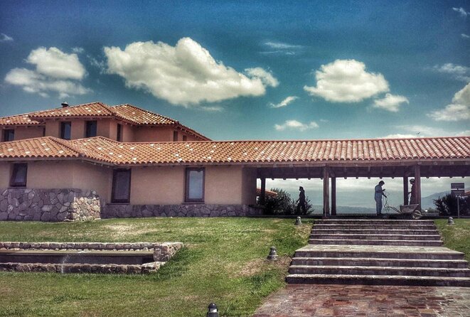 Lujan Deluxe - Full day - Premium Wine Tour with Gourmet Lunch - Is $310 a fair price?