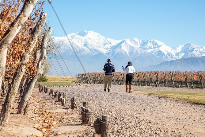 Lujan Deluxe - Full day - Premium Wine Tour with Gourmet Lunch - Casarena and the old cellar in Agrelo