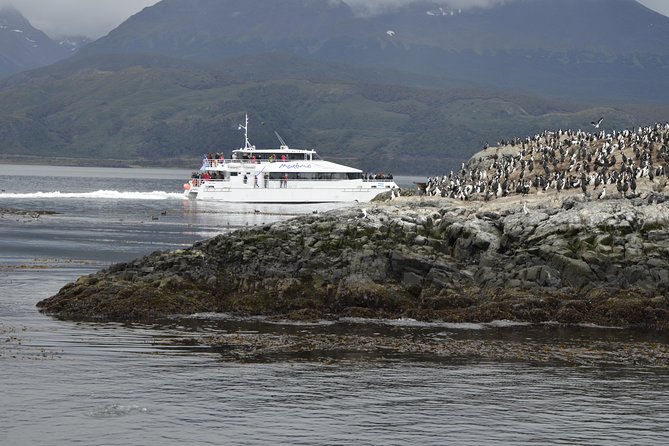Martillo Island: Boat Trip to the Penguin Colony & Beagle Channel - Isla de los Pájaros and Isla de los Lobos