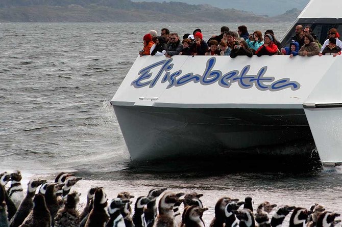 Martillo Island: Boat Trip to the Penguin Colony & Beagle Channel - Martillo Island and the penguin colony