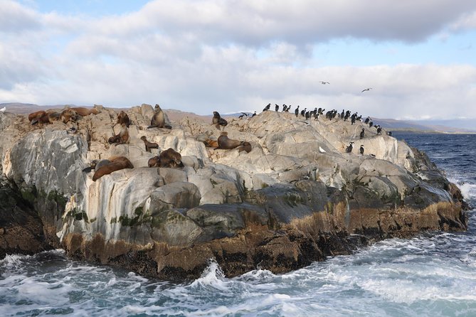 Martillo Island: Boat Trip to the Penguin Colony & Beagle Channel - The first hour: Ushuaia and the Beagle Channel