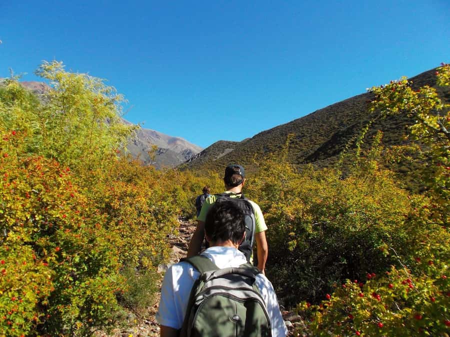 Mendoza: 4-Hour Mountain Trekking With Lunch - The three-hour climb to 2,212 meters
