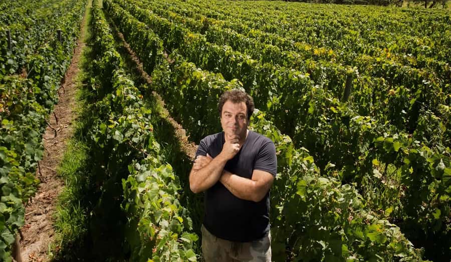 Mendoza: El Enemigo and Casa Vigil Wine Tour - The family story behind the setting