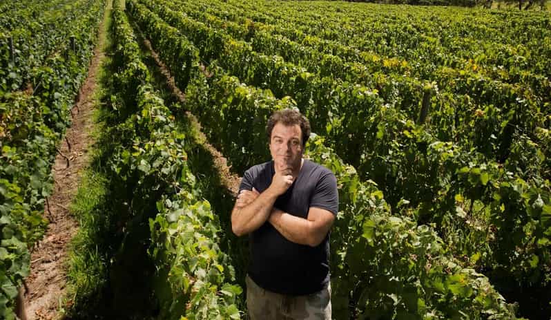 Mendoza: El Enemigo and Casa Vigil Wine Tour - Should you book Casa Vigil and El Enemigo?
