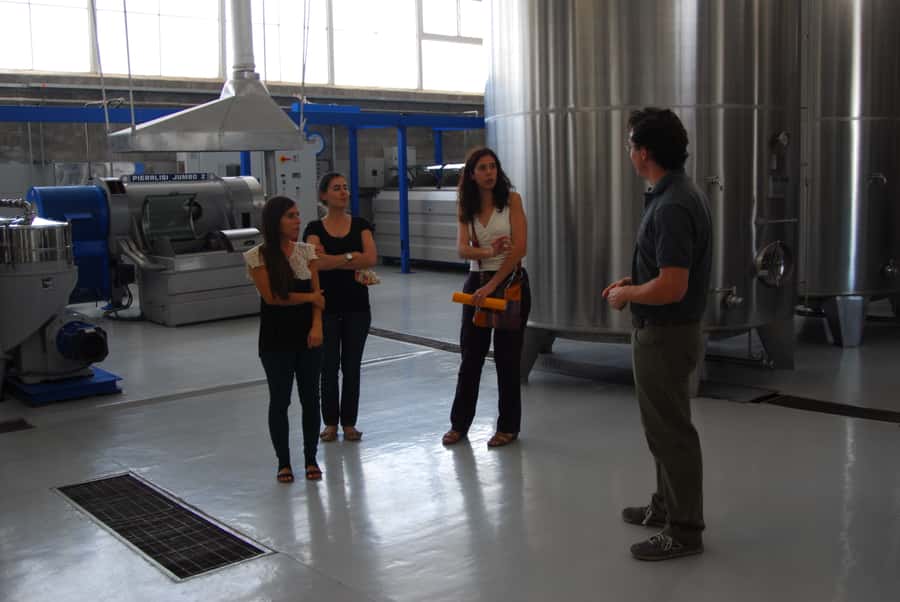 Mendoza: Full Day Wine Tour with 3 Course Lunch - Should you book it?