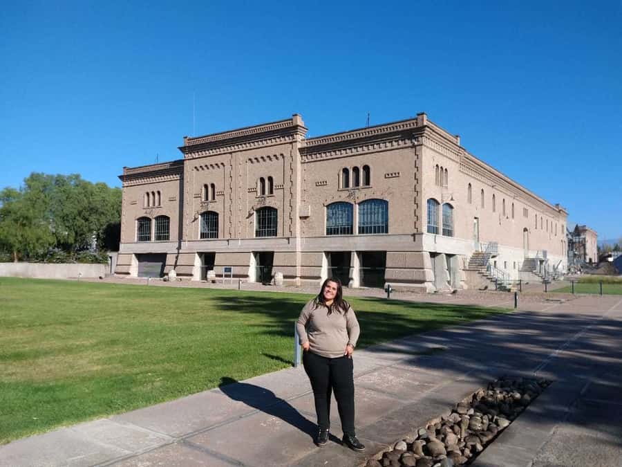 Mendoza: Full Day Wine Tour with 3 Course Lunch - Why Mendoza wine country feels different