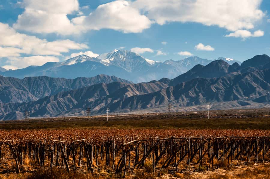 Mendoza: Full Day Wine Tour with 3 Course Lunch - What happens during the two winery visits