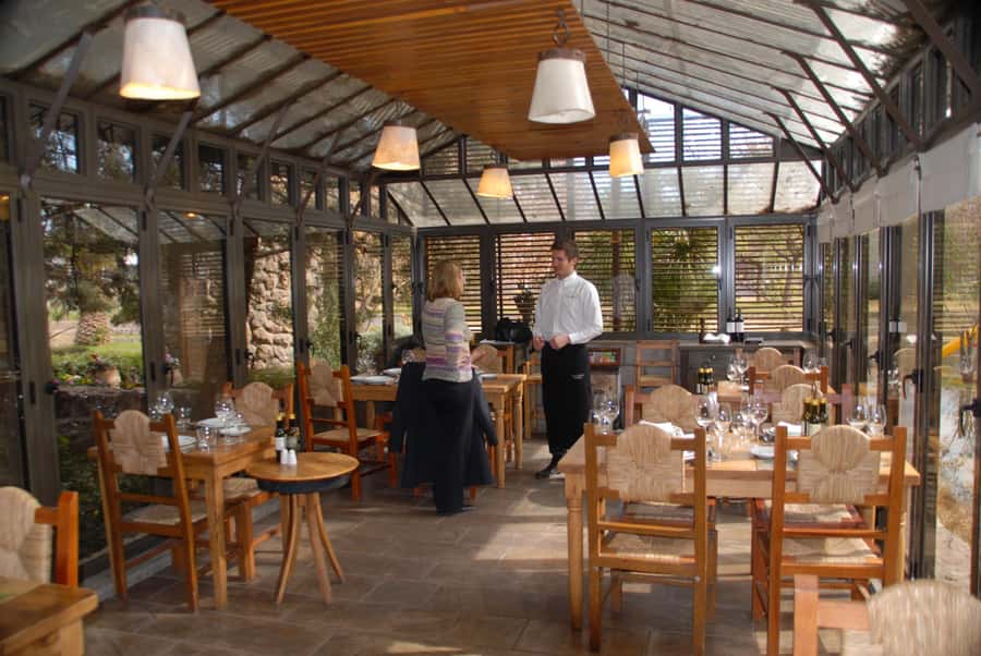 Mendoza: Full Day Wine Tour with 3 Course Lunch - Booking advice and small details that matter