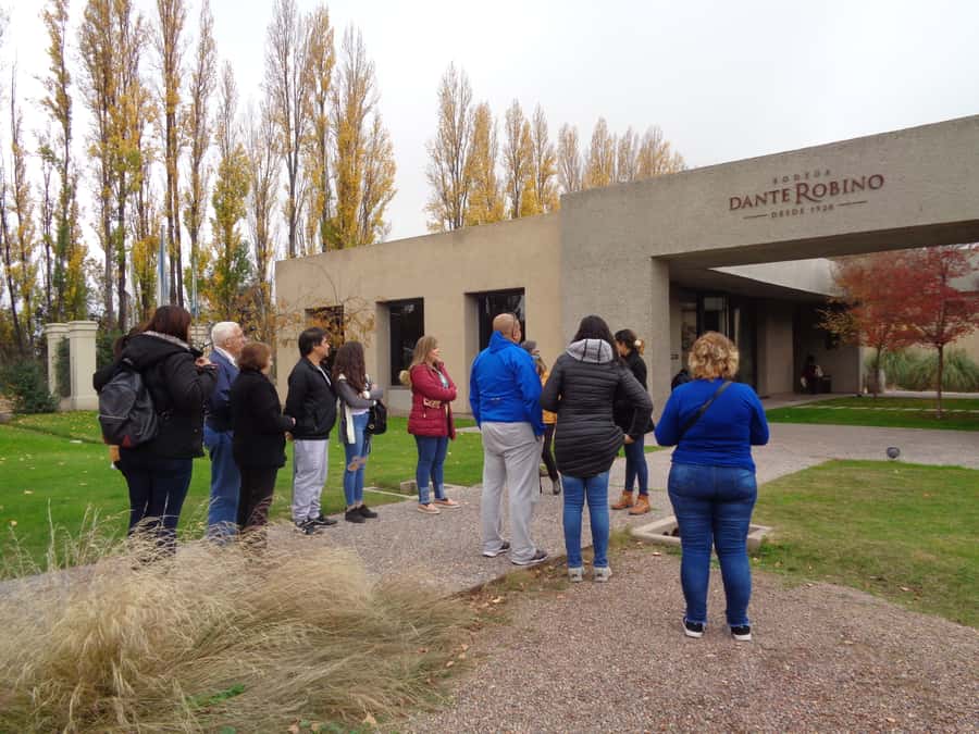 Mendoza: Half-Day Wine Tour with Tastings - Key points to know before you book