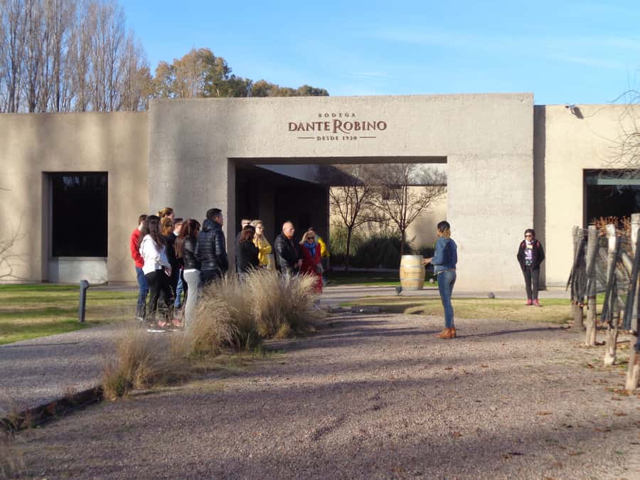 Mendoza: Half-Day Wine Tour with Tastings - Why this short tour works in Mendoza