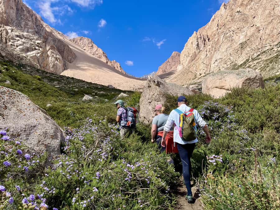 Mendoza: Hiking, Meditation & Yoga in the Andes with Lunch - Key points at a glance