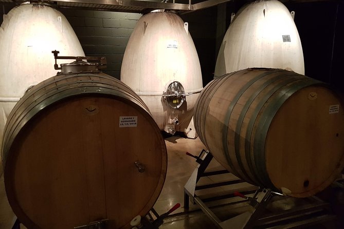 Mendoza Hop-On Hop-Off Wine Tour - Key points to know before you book