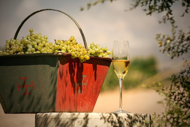 Mendoza Hop-On Hop-Off Wine Tour - Price, extra costs, and real value