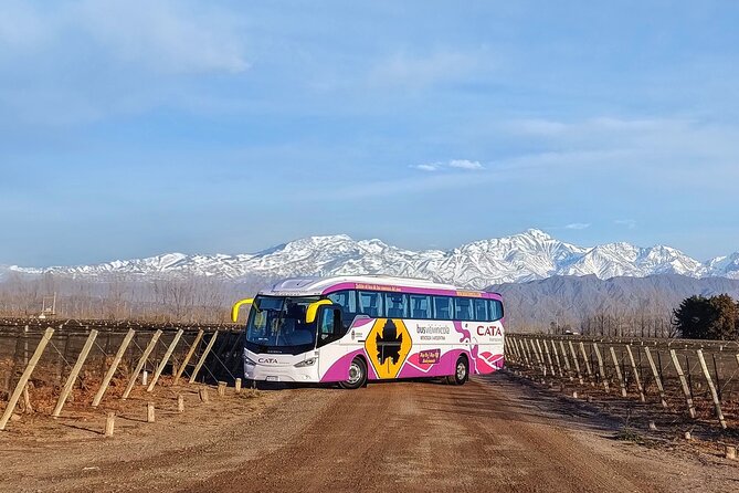 Mendoza Hop-On Hop-Off Wine Tour - Problems to plan around