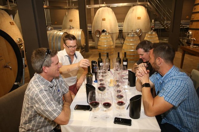 Mendoza Hop-On Hop-Off Wine Tour - Who should book it