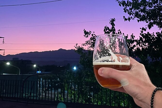 Mendoza: Make an Argentine Asado BBQ w/ Local Host & Wine Tasting - Is the $89 price fair?