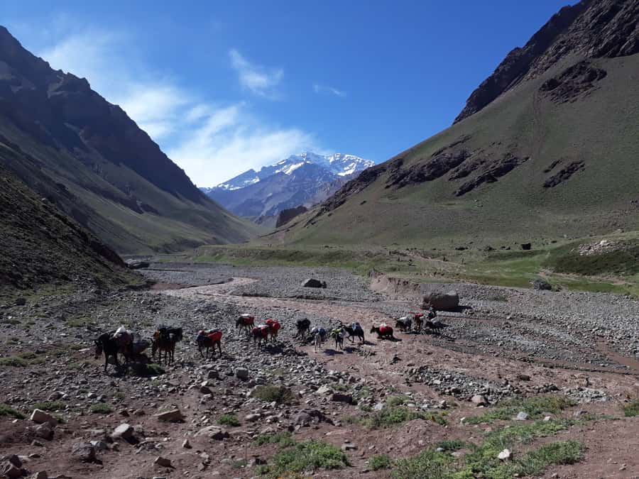 Mendoza: Mt. Aconcagua Confluencia Camp Trekking - The early road from Mendoza into the Andes
