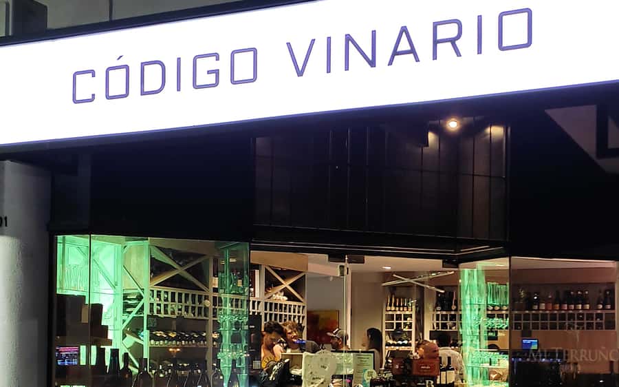 Mendoza: Premium Wine Tasting - Eight glasses, several styles, and a useful introduction