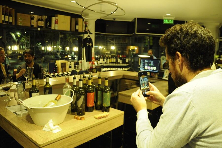 Mendoza: Premium Wine Tasting - Limits to keep in mind before booking