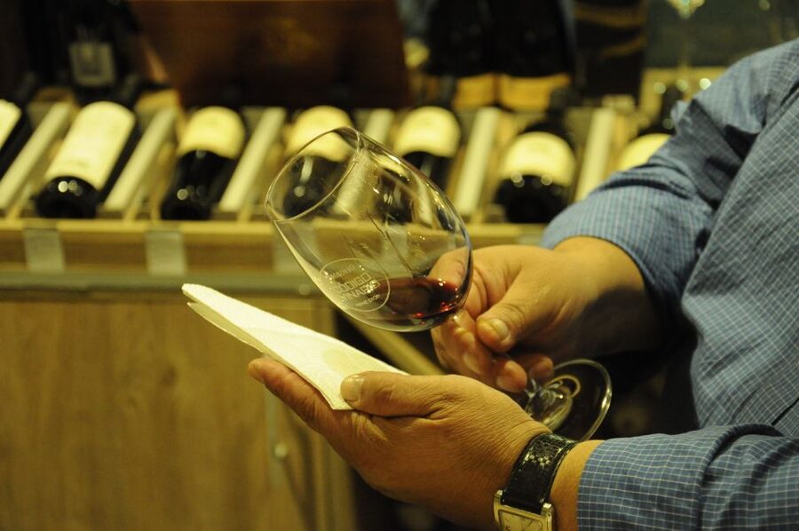 Mendoza: Premium Wine Tasting - Who should book this Mendoza tasting?