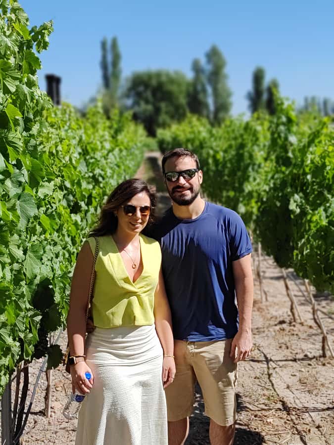 Mendoza's top wineries ! All Inclusive Private Tours! - Picking the right wine region