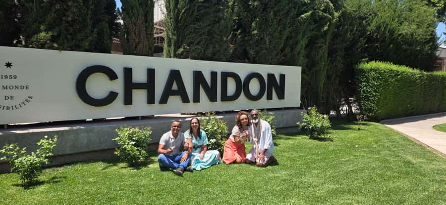 Mendoza's top wineries ! All Inclusive Private Tours! - Languages, group size, and the right kind of day