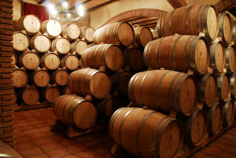 Mendoza: Small-Group Wineries Tour with Tasting and Lunch - From Mendoza’s Desert to a Wine-Making Oasis