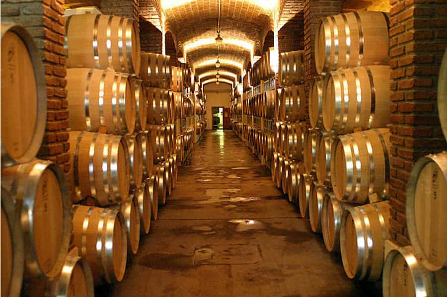 Mendoza: Small-Group Wineries Tour with Tasting and Lunch - Is $539 a Fair Price?