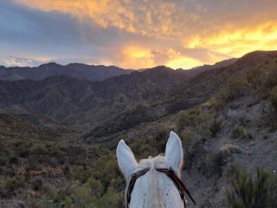 Mendoza: Sunset Horse Back Riding in the Mountains and BBQ