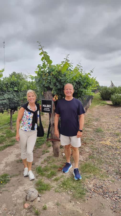 Mendoza: Top Wineries Guided Tour with Transportation - Key points at a glance