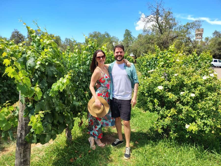 Mendoza: Top Wineries Guided Tour with Transportation - Should you book it?