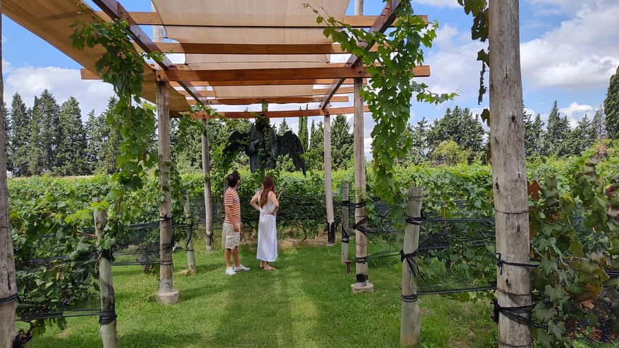 Mendoza: Top Wineries Guided Tour with Transportation - A full day built around three very different wineries