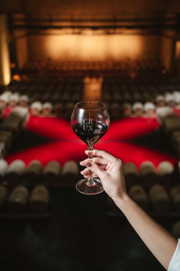 Mendoza: Tour with tasting and lunch High Altitude Wineries - Who will enjoy this Mendoza wine day?