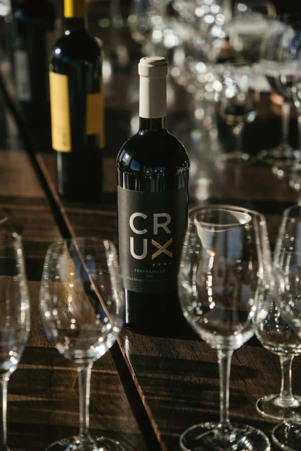 Mendoza: Tour with tasting and lunch High Altitude Wineries - Practical tips before you reserve