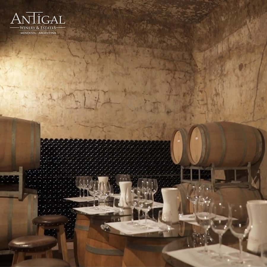 Mendoza: Wine Tasting Tour with Lunch and Private Transport - What the seven-hour day feels like