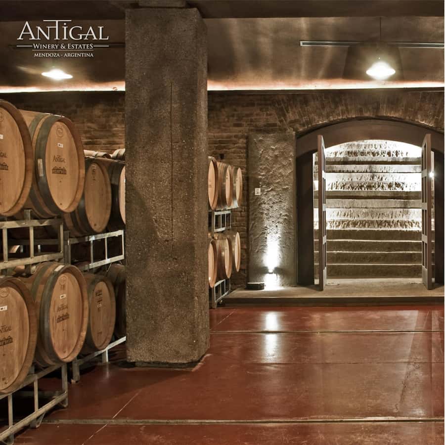 Mendoza: Wine Tasting Tour with Lunch and Private Transport - Should you book the Mendoza wine tasting tour?