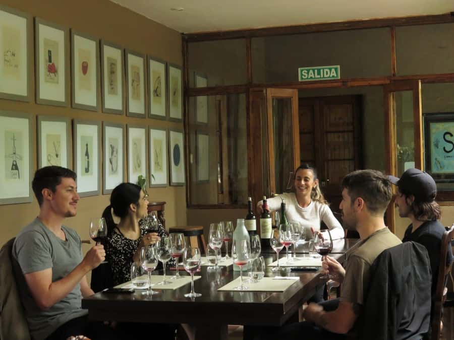 Mendoza: Wine Tasting Tour with Lunch and Private Transport - The first winery: your introduction to Mendoza wine