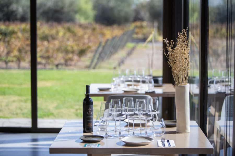 Mendoza: Wine Tasting Tour with Lunch and Private Transport - Lunch at a third winery takes 2.5 hours