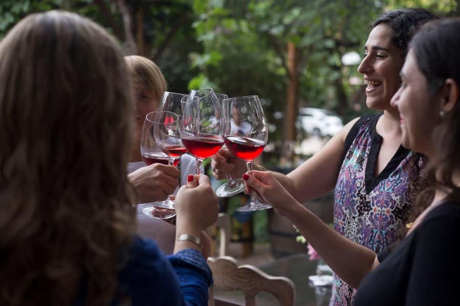 Mendoza: Wine Tasting Tour with Lunch and Private Transport - What the guides and drivers add