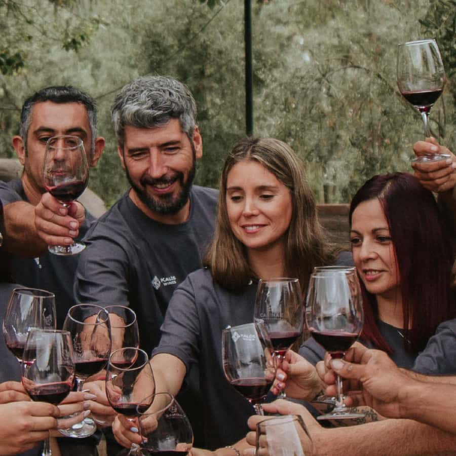 Mendoza: Wine Tasting Tour with Lunch and Private Transport - The second winery: compare the styles