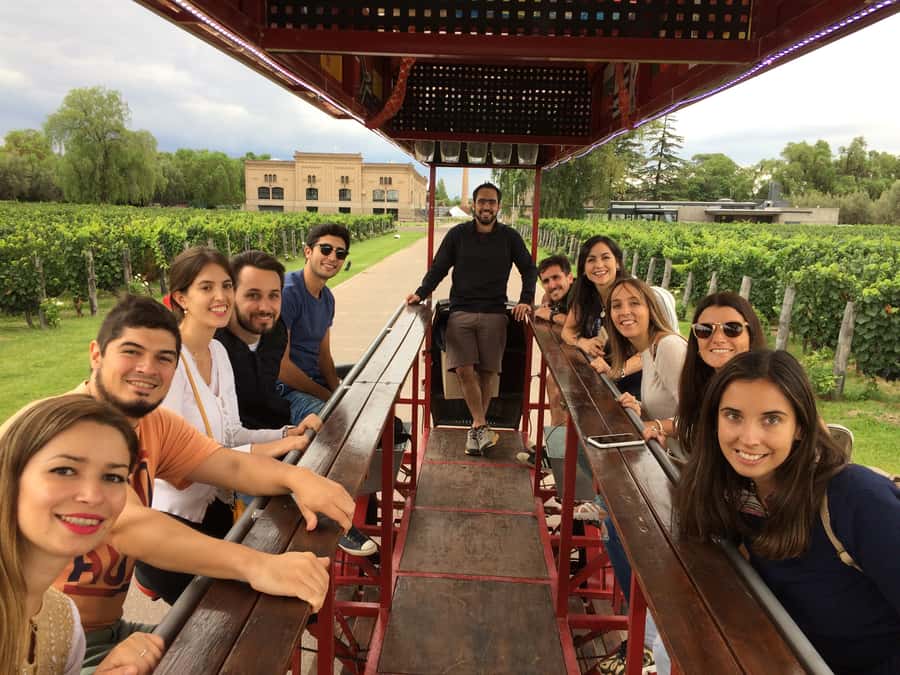 Mendoza: Winebike Tasting Tour with Optional Lunch - The multi-bike ride through Mendoza’s vineyards