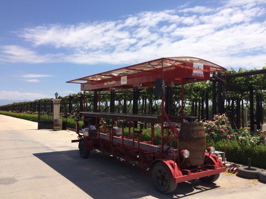 Mendoza: Winebike Tasting Tour with Optional Lunch - Finca el Pino and the optional Argentine lunch