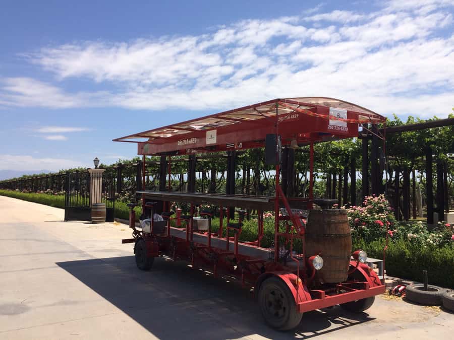 Mendoza: Winebike Tasting Tour with Optional Lunch - Carinae at 10 am: a fitting place to begin